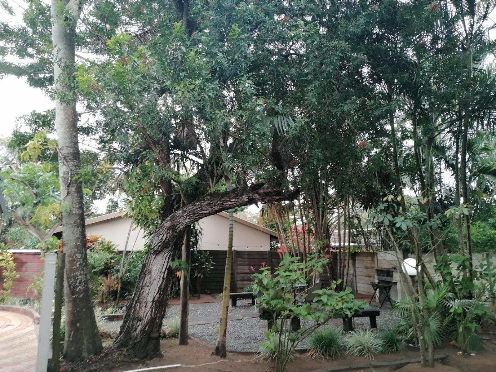 理查兹湾Nqabanqaba住宿加早餐旅馆 外观 照片